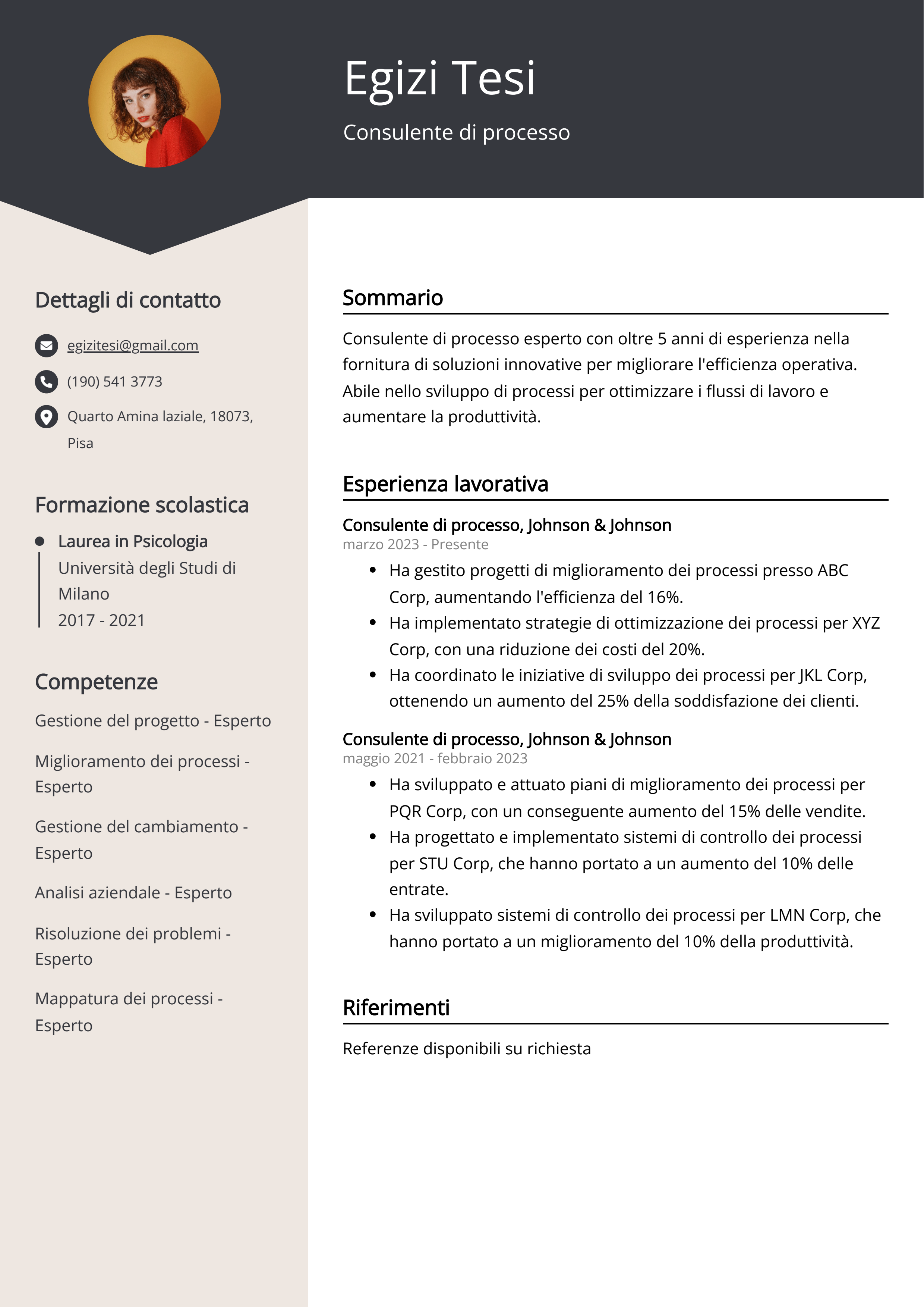 Consulente di processo Esempio di curriculum