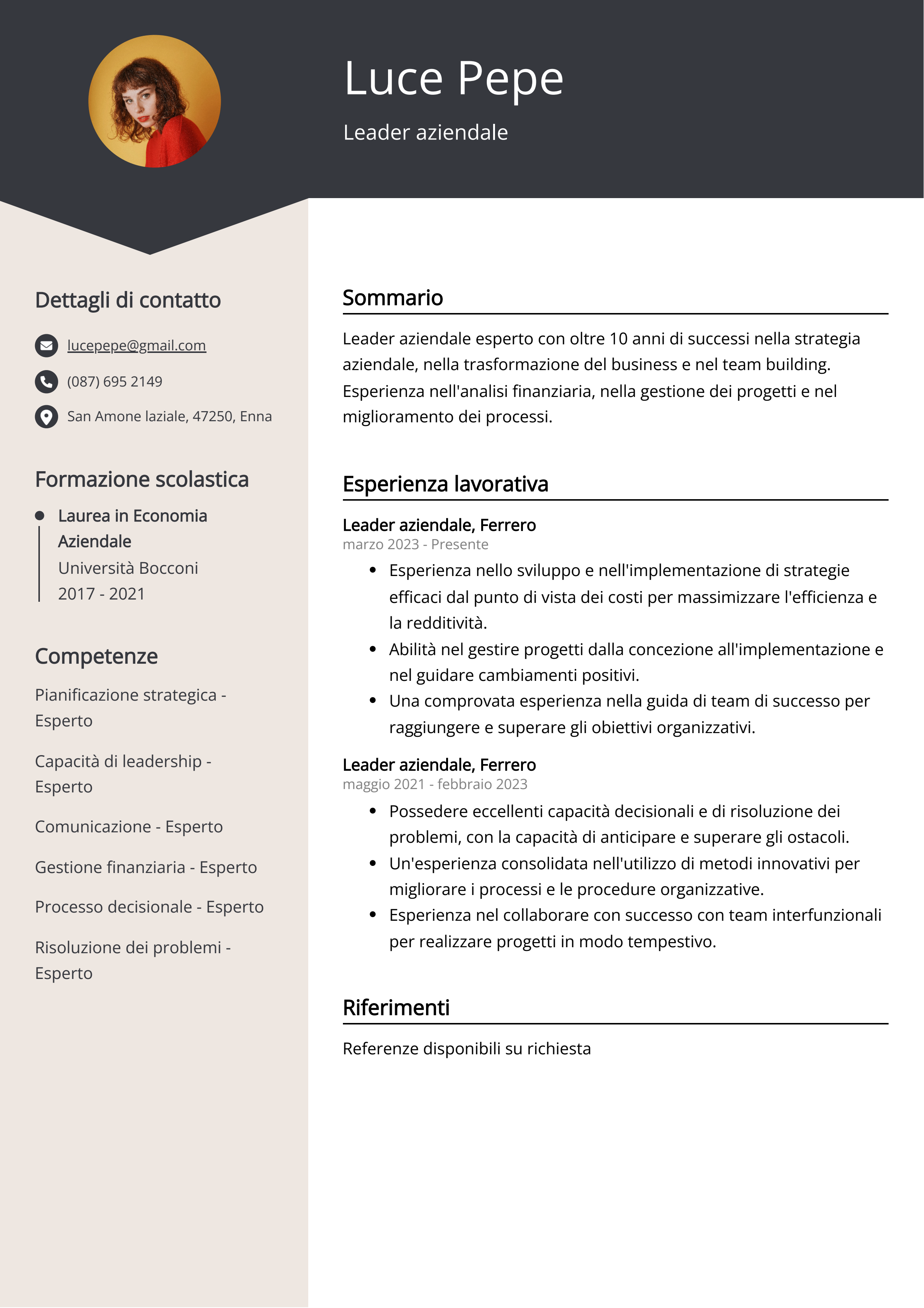 Esempio di curriculum del leader aziendale