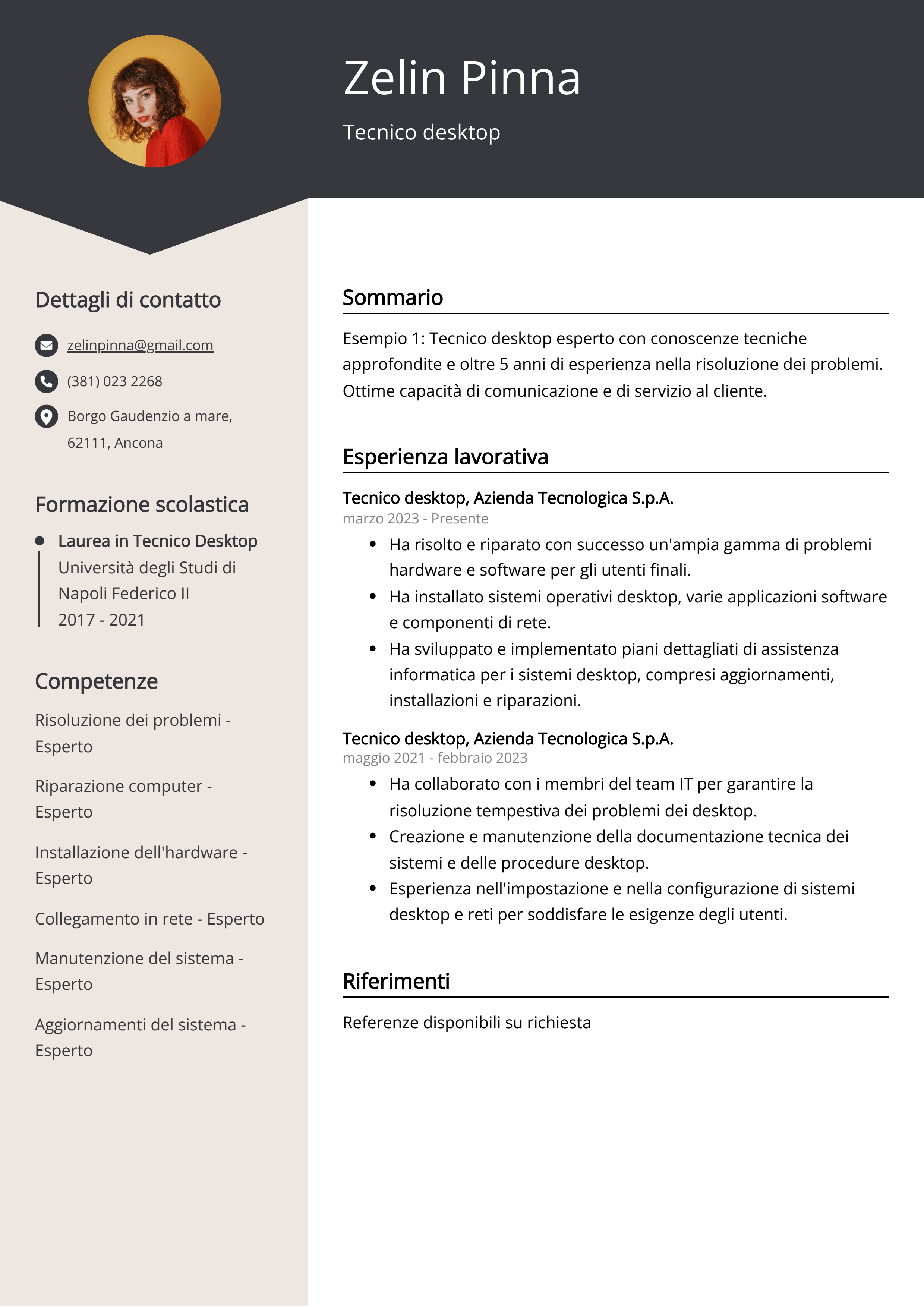 Esempio di curriculum tecnico desktop